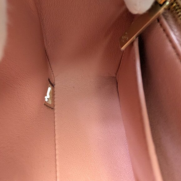 Chanel Salmon Pink Mini Rectangular Classic Flap Bag in Exotic Leather - Picture 15 of 16